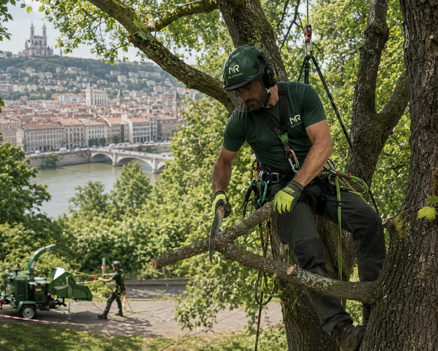 Élagueur à Lyon sécurisé dans un arbre lors d’une taille raisonnée